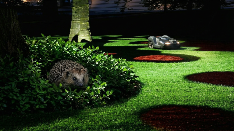 Kaiserslautern führt nächtliche Mähroboter-Patrouille ein: Sorge um traumatisierte Igel auf Privatgrundstücken