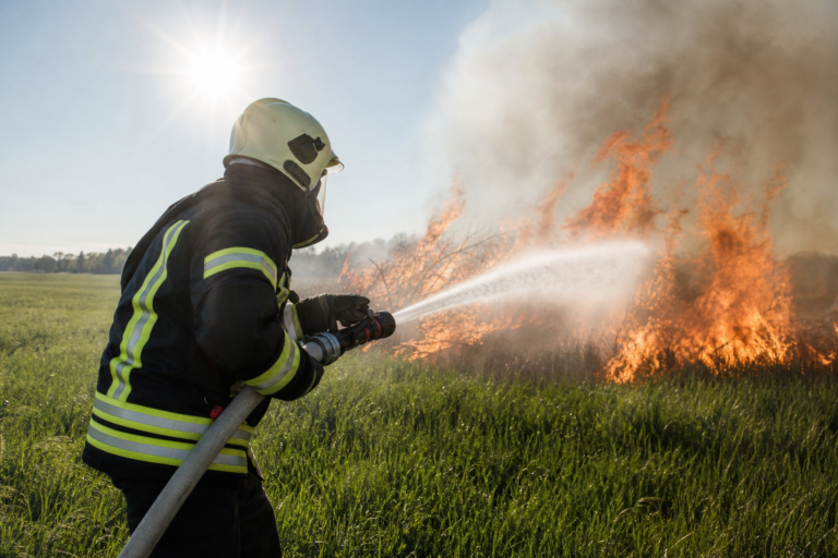 Brennende Westpfalz: Feuerwehr Kaiserslautern kämpft übers Wochenende gegen Dutzende Feuer – Leitstelle läuft heiß