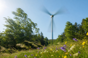 Wegen Hitzewelle in der Westpfalz: Netzbetreiber drehen Windräder im Pfälzerwald auf maximale Umdrehungszahl, um Bevölkerung zu kühlen